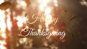 Happy Thanksgiving text animation over falling autumn leaves and sunlight. celebration, festive, seasonal, greeting - Powered by Shutterstock - Get 15% off with code: PIKWIZARD15