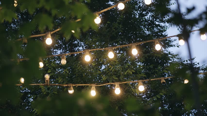 Evening lanterns are visible among the branches of the trees. Pleasant warm light in the evening in the city