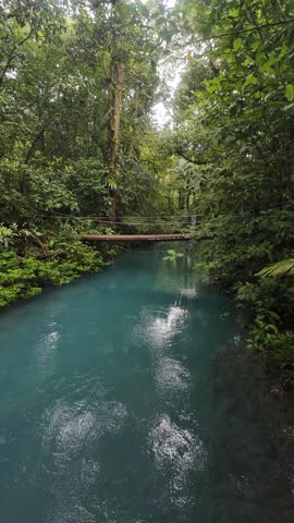 The Celeste River flowing through the dense greenery in daytime in Tenorio Volcano National Park in Guanacaste Province, Guatuso, Costa Rica