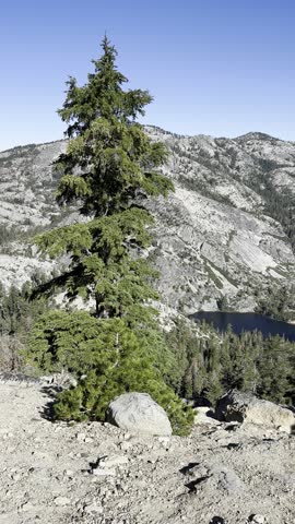 granite lake beautiful landscape, lake tahoe trail, hiking, active recreation in usa, travel in america, hike, climbing, beautiful california landscape, nature, sunny weather, blue sky and pine forest