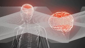 Animating human brain and nervous system anatomy over transparent body illustration. Neuroscience, human body, medical, healthcare - Powered by Shutterstock - Get 15% off with code: PIKWIZARD15