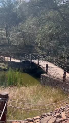 Vertical video of lake in the woods with trees and a wooden bridge