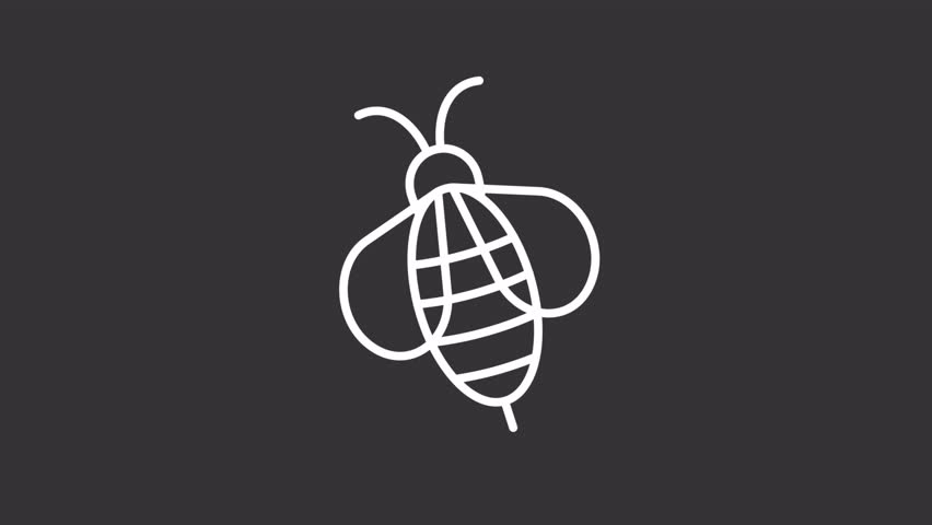 Animated bee white icon. Flying wasp line animation. Moving wings, shaking. Beekeeping, bumblebee. Entomology, ecology. Isolated illustration on dark background. Transition alpha video. Motion graphic