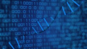 DNA strand and binary coding, scientific data processing animation. Science, genetics, biotechnology, bioinformatics, data analysis, molecular - Powered by Shutterstock - Get 15% off with code: PIKWIZARD15