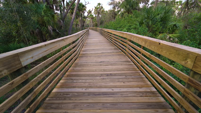 Boardwalk trekking trail footpath in subtropical jungles wild vegetation with green palm trees in southern Florida, USA. Exploring dense rainforest