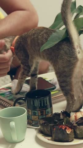 A cheeky kitten trying to drink the owners coffee while having merienda, shows the funny antics and candid daily home life with a pet cat