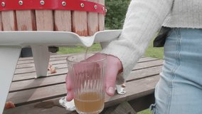 The children have made their own apple juice that runs into a glass - Powered by Shutterstock - Get 15% off with code: PIKWIZARD15