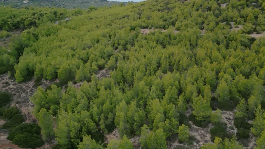 Reveal Lake Loutraki from the hill