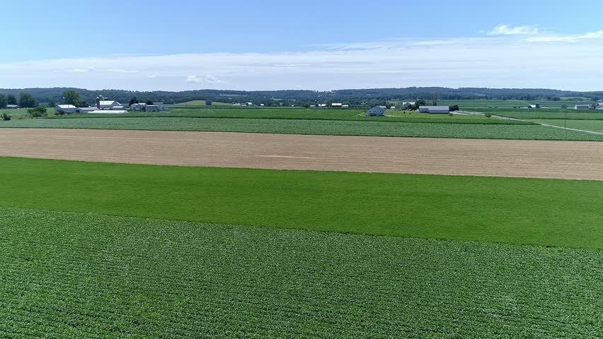 The landscape showcases expansive green fields interspersed with golden patches. Rolling hills and a clear blue sky create a serene rural setting during the growing season.