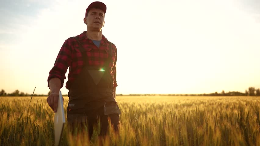 agriculture. farmer hand with digital tablet at sunset in wheat field. agriculture business plants concept. farmer working in field digital agriculture lifestyle. farmer worker working in wheat field