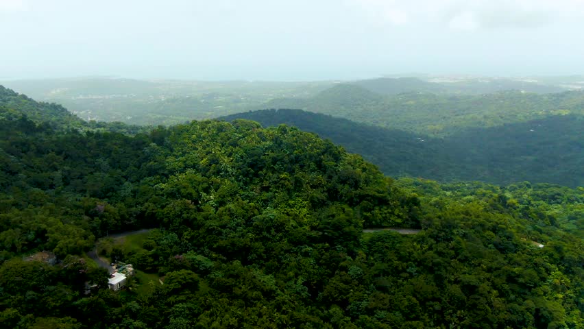 Jungle hill and endless landscape of Puerto Rico, aerial view