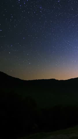 Milky Way in the dark night sky. Silhouettes of the trees on the ground. A timelapse video.