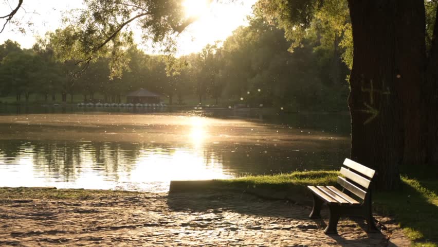 cozy quiet place to relax near a small lake. Rheinauer Park, Bonn, Germany  
