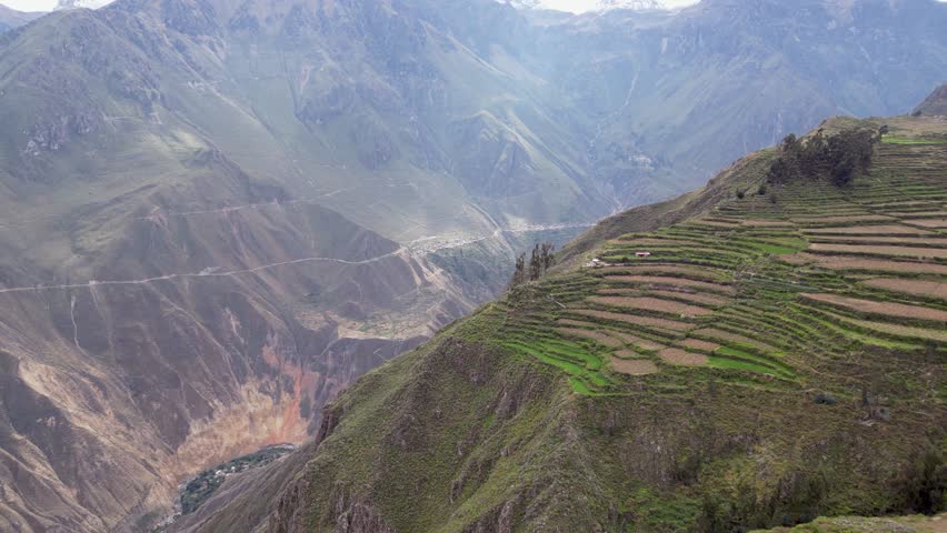 Flyover green terraced fields high above Colca Canyon in southern Peru