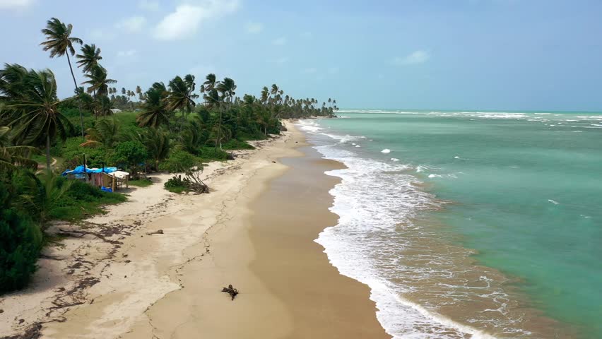 A drone shot of the beach in Loiza, Puerto Rico, with calm sea and greenery, on a sunny day with bright blue sky