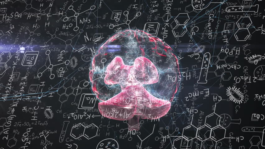 Animation of mathematical data processing over human brain. Global artificial intelligence, science, connections, computing and data processing concept digitally generated video. - Powered by Shutterstock - Get 15% off with code: PIKWIZARD15