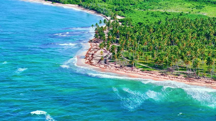 Hawaiian sand beach on palm island in summer morning, aerial view. Emerald water near sea island. Beautiful bright green coconut grove on Caribbean coast. Sea voyage.
