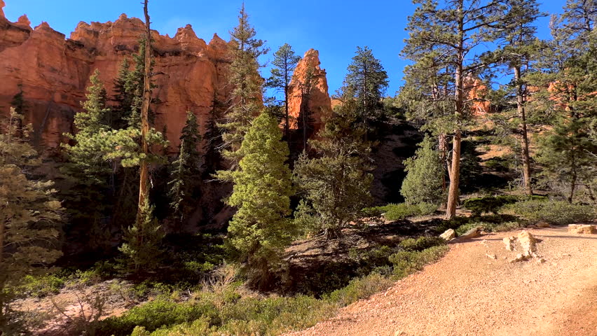 Solo Girl hiking with smartphone social media Bryce Canyon National Park outdoor adventure travel USA travel and tourism
