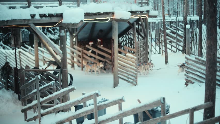 Shot on the 11th of December 2023 in Rovaniemi, Lapland, Finland