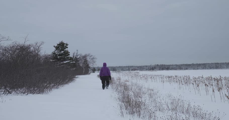 A Person Dressed in Winter Clothes Walks in a Snow-Covered Field in the Town of Port-Menier on the Anticosti Island, Quebec, Canada 