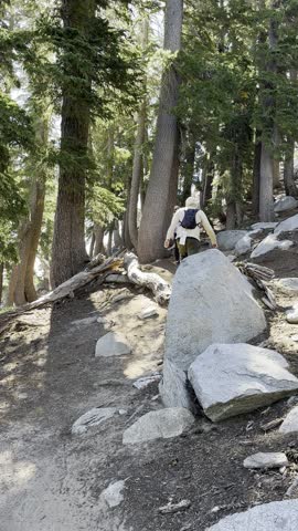 Friends hiking on a trail near Lake Tahoe, girls and a guy walking with backpacks uphill, forest, active recreation walking, hiking in the USA, hiking, sports and recreation, getting lost in nature