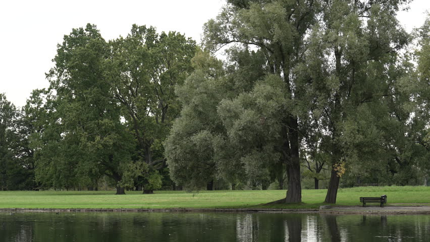 Old well-kept park by the lake. Quiet, calm, deserted evening.  Bonn, Germany, Rheinauer Park   
