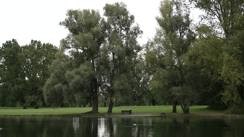 Old well-kept park by the lake. Quiet, calm, deserted evening.  Bonn, Germany, Rheinauer Park   
