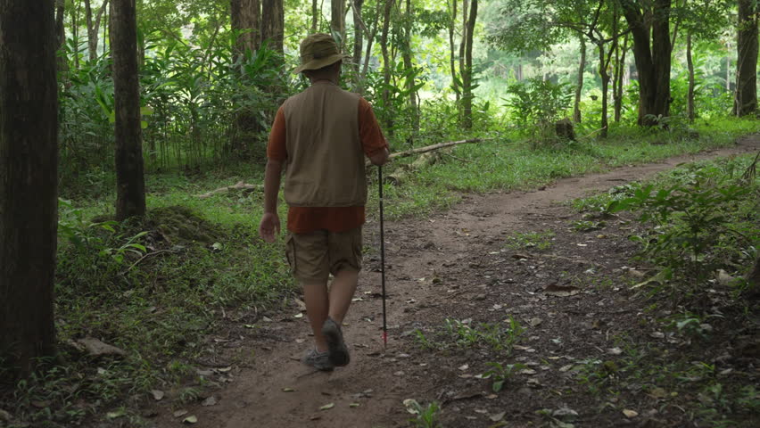 A rear view of a teenage Asian boy walking on a nature trail in the forest, exploring nature and seeking adventure
