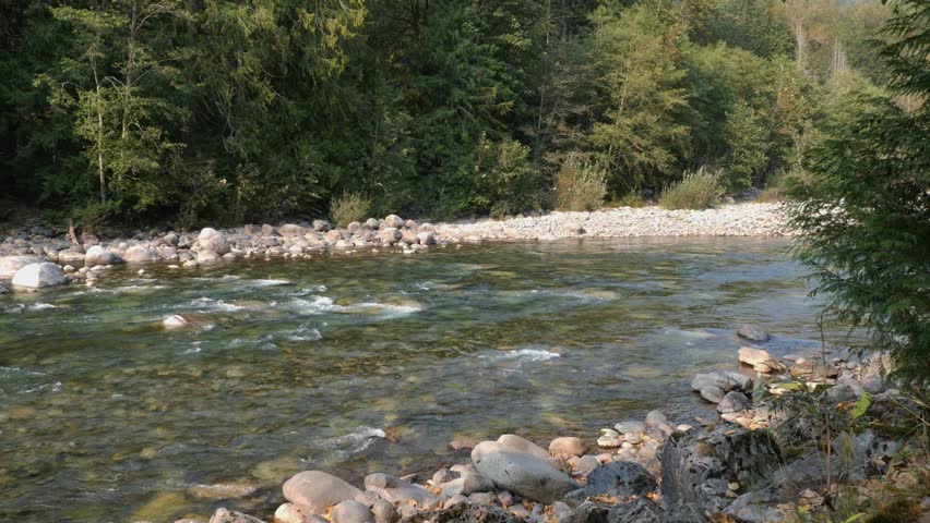 Chilliwack River during a summer season in Chilliwack, British Columbia, Canada