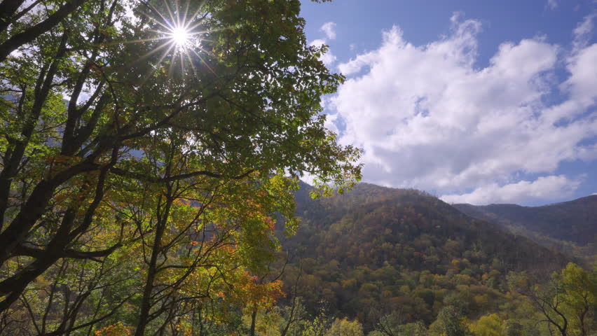 Smoky Mountains Autumn Foliage with Sun Landscape
