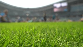 Stadium arena background. Green sport stadium lawn macro video. - Powered by Shutterstock - Get 15% off with code: PIKWIZARD15