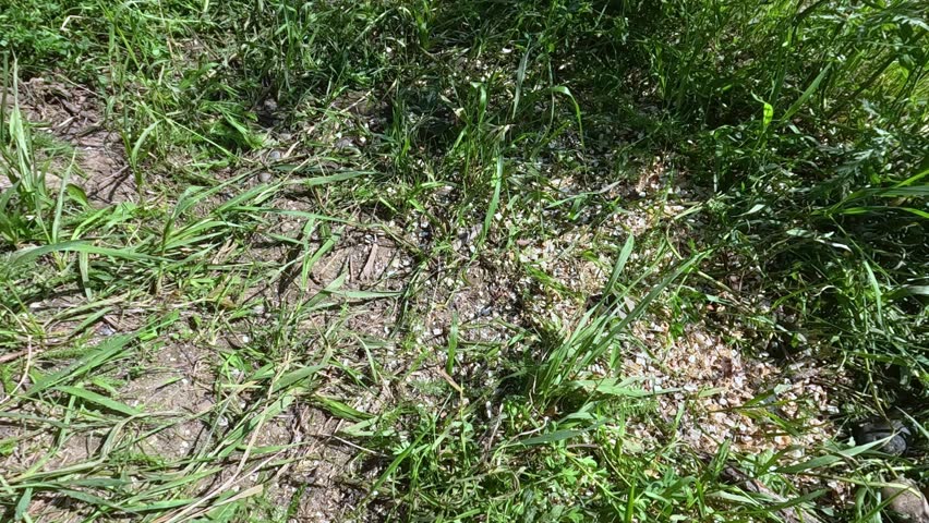 The stones fall one after another