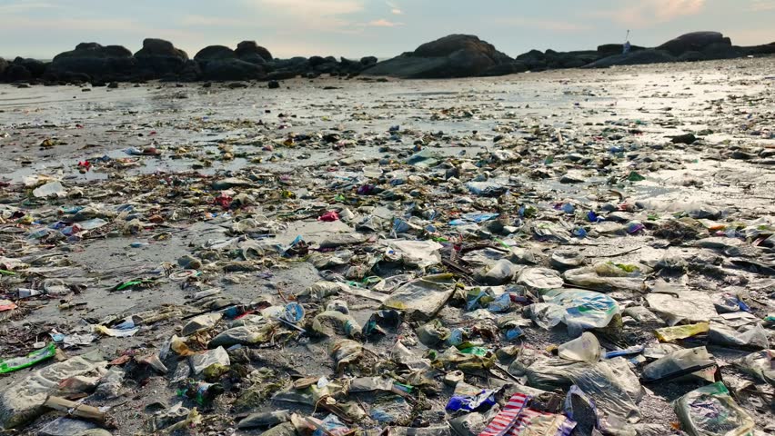 Top view of trash on the beach, plastic cups and plastic bags. Marine trash is considered one of the world's major environmental problems.
Conservation of the environment and marine nature
