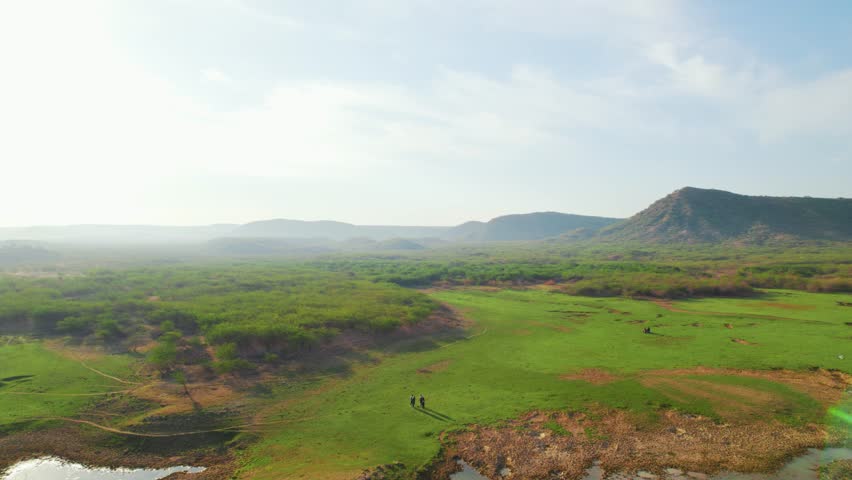4K aerial view of green grass around lake and small hills in background at Kutch, Gujarat, India. Green meadows and pond during summer season. Aerial Nature landscape.