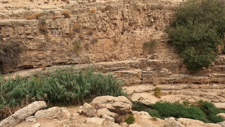 Freshwater flowing into a clear pool within a canyon in the middle of the desert at Nahal Prat Nature Reserve, with cloudy skies above. late summer