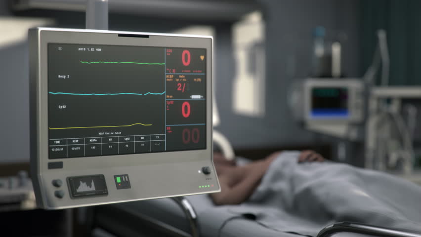 Shutterstock Video