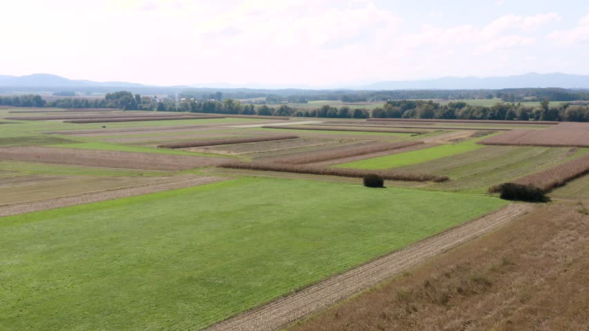 Aerial view of vast farmland stretching into the distance, with neatly separated fields of green and dry crops. Distant trees and hills frame the horizon under a bright blue sky.