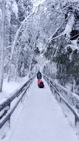 A girl is pulling her sister on a sled through the snowy forest of Lapland.
