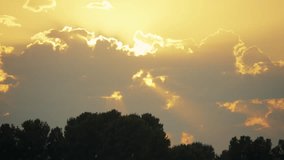 Orange sunlight clouds at sunset and dark trees silhouettes below. Golden hour clouds above the dark trees. God rays shining through the cumulus cloud at sunset. - Powered by Shutterstock - Get 15% off with code: PIKWIZARD15