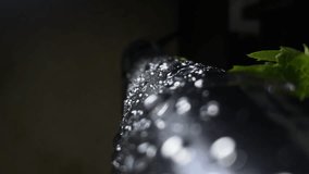 Water Drops On A Metal Grill Beside Lush Green Leaves Of Grapes In Rain - Powered by Shutterstock - Get 15% off with code: PIKWIZARD15