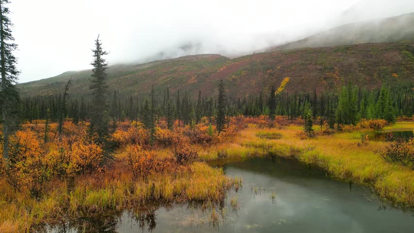 Scenic autumn landscape in Alaska, with mist and low lying clouds.