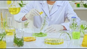template video features A scientist in a lab coat pours a yellow liquid into a flask containing herbs in an organized lab filled with various glassware and plant specimens for the research process. - Powered by Shutterstock - Get 15% off with code: PIKWIZARD15