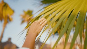 Walk in garden in tropical island in summer vacation, woman hand on palm leaves. Closeup view of female hand stroking big green leaf of palm tree, slow motion, trip and travel in summer vacation - Powered by Shutterstock - Get 15% off with code: PIKWIZARD15