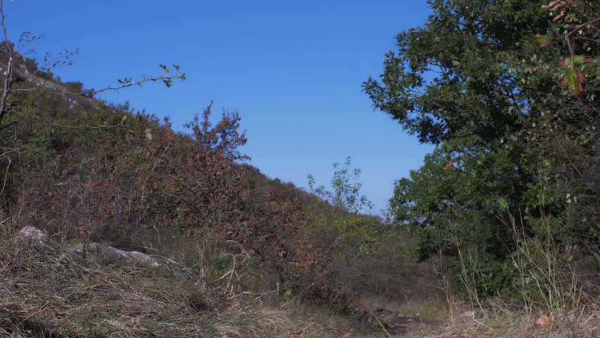 Three Men With Hoodies Walking On A Mountain