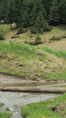 A mountain stream spills over a road in the Ukrainian Carpathians during early spring, with two men crossing the water on foot