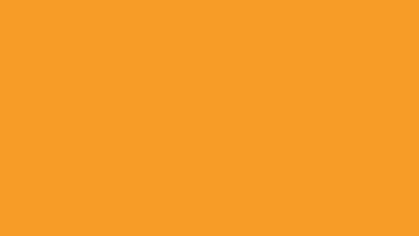 Halloween background with pumpkin, bat and spider.