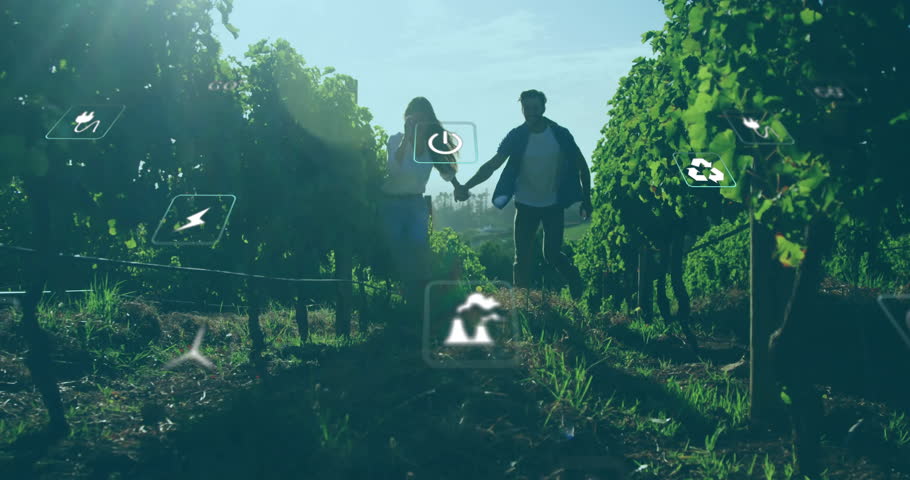 Animation of network of eco icons over caucasian couple in vineyard. Global environment, connections, computing and data processing concept digitally generated video.
