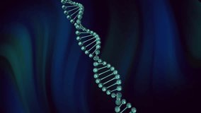 Animation of dna strand rotating over moving dark blue and green background. Medical research, science, genetics and data, digitally generated video. - Powered by Shutterstock - Get 15% off with code: PIKWIZARD15