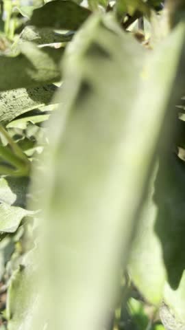 
Flowers bloom as trees reflect on the lake, daisies wink at the sun. Clouds dance behind the mountains, while nature quietly whispers the miracles of life.