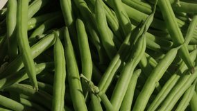 Green beans background rotating macro. Healthy food - Powered by Shutterstock - Get 15% off with code: PIKWIZARD15